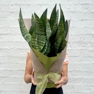 Go green